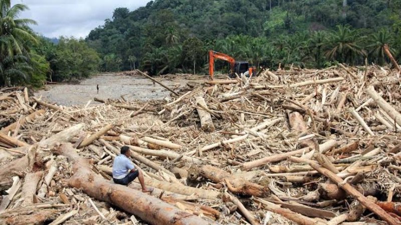 Gambar Dari Jejak Kayu Banjir ke Lahan 277 Hektare di Tapanuli, Bareskrim Tetapkan Tiga Tersangka